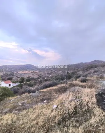 Residential 1116m<sup>2</sup> for sale photo 1