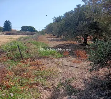 Residential 500m<sup>2</sup> for sale photo 3