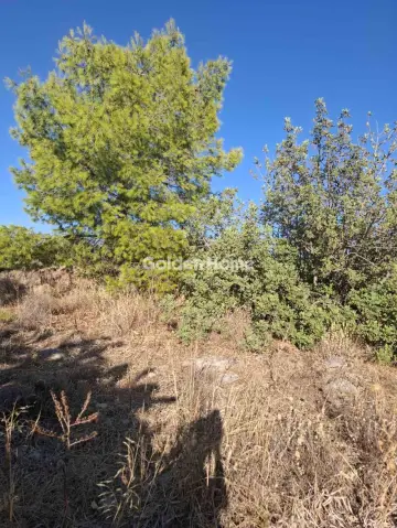 Residential 1046m<sup>2</sup> for sale photo 4993959