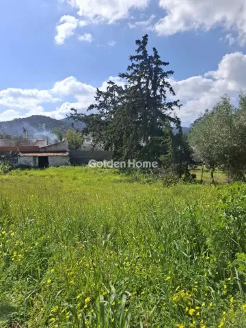 Residential 2000m<sup>2</sup> for sale photo 4