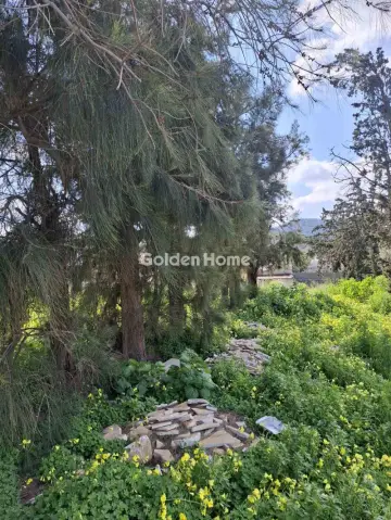 Residential 2000m<sup>2</sup> for sale photo 5