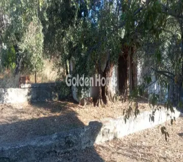 Residential 1067m<sup>2</sup> for sale photo 4977798