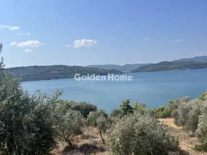 Οικιστικό 4050τ.μ. προς πώληση φωτογραφία 3