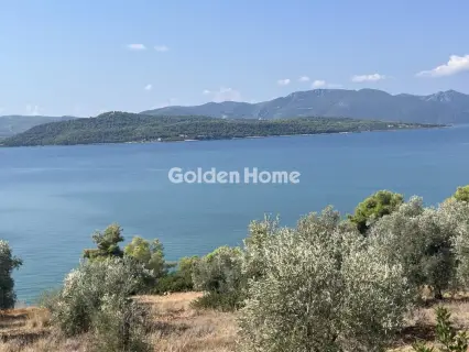 Οικιστικό 4050τ.μ. προς πώληση φωτογραφία 4