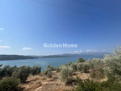 Οικιστικό 4050τ.μ. προς πώληση φωτογραφία 5