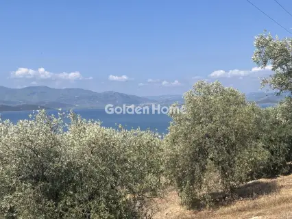 Οικιστικό 4050τ.μ. προς πώληση φωτογραφία 6