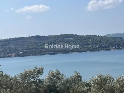 Οικιστικό 4050τ.μ. προς πώληση φωτογραφία 8