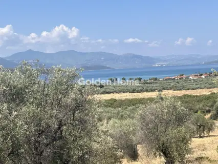 Οικιστικό 4200τ.μ. προς πώληση φωτογραφία 1
