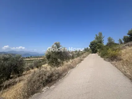 Οικιστικό 4200τ.μ. προς πώληση φωτογραφία 3