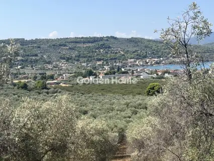Οικιστικό 4200τ.μ. προς πώληση φωτογραφία 4