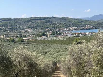 Οικιστικό 4200τ.μ. προς πώληση φωτογραφία 5