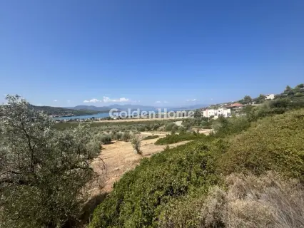 Οικιστικό 4200τ.μ. προς πώληση φωτογραφία 2