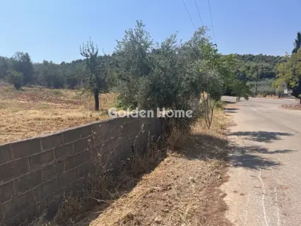 Οικιστικό 1000τ.μ. προς πώληση φωτογραφία 4980852