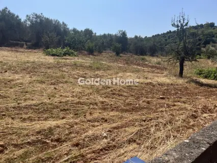 Οικιστικό 1000τ.μ. προς πώληση φωτογραφία 4980853
