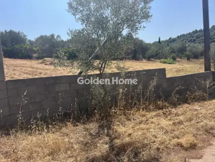 Οικιστικό 1000τ.μ. προς πώληση φωτογραφία 4980854