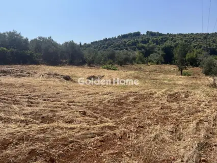 Οικιστικό 1000τ.μ. προς πώληση φωτογραφία 4980855