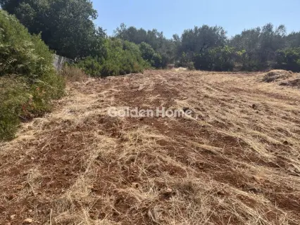 Οικιστικό 1000τ.μ. προς πώληση φωτογραφία 4980856