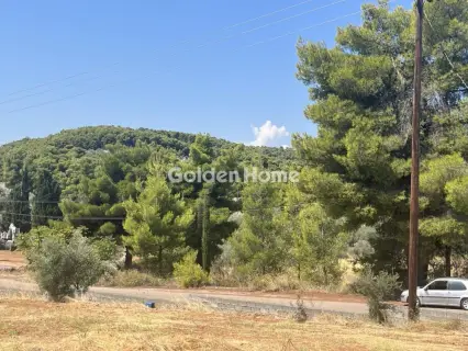 Οικιστικό 1000τ.μ. προς πώληση φωτογραφία 4980879