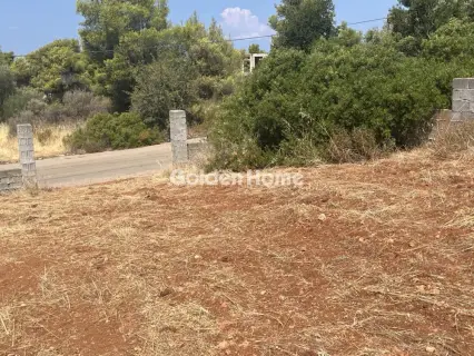 Οικιστικό 1000τ.μ. προς πώληση φωτογραφία 4980880