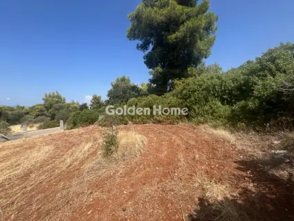 Οικιστικό 1000τ.μ. προς πώληση φωτογραφία 4980881
