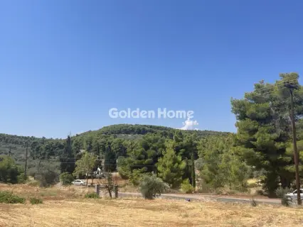 Οικιστικό 1000τ.μ. προς πώληση φωτογραφία 4980882