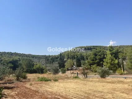Οικιστικό 1000τ.μ. προς πώληση φωτογραφία 4980884