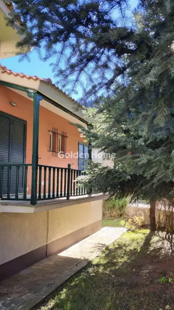 独立复式小屋 270m<sup>2</sup> for sale photo 11