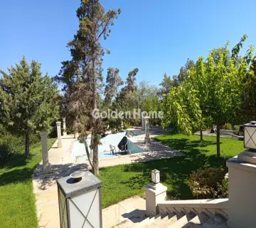 Golden Home Property Image