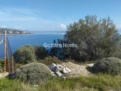 Residential 1023m<sup>2</sup> for sale photo 4983143