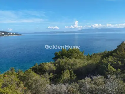 Residential 1023m<sup>2</sup> for sale photo 4983143