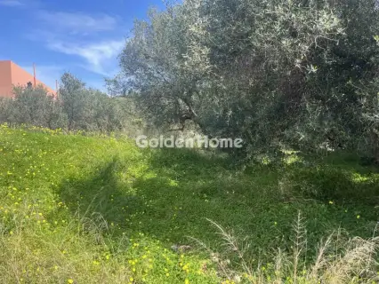 Οικιστικό 470τ.μ. προς πώληση φωτογραφία 5324120