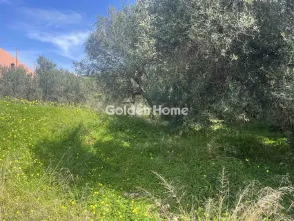 Οικιστικό 470τ.μ. προς πώληση φωτογραφία 5324121