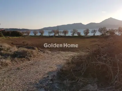 Οικιστικό 4700τ.μ. προς πώληση φωτογραφία 3