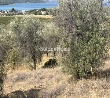 Επαγγελ. Οικόπεδο 4200τ.μ. προς πώληση φωτογραφία 4981141