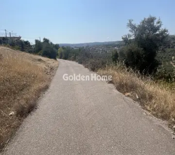 Επαγγελ. Οικόπεδο 4200τ.μ. προς πώληση φωτογραφία 4981142