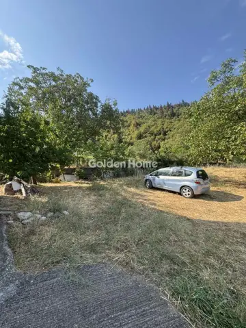Apartment 91m<sup>2</sup> for sale photo 4981314