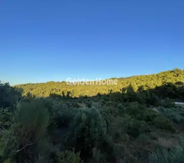 Αγροτεμάχιο 1300τ.μ. προς πώληση φωτογραφία 4982115