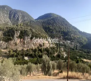 Golden Home Property Image