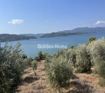 Επαγγελ. Οικόπεδο 4050τ.μ. προς πώληση φωτογραφία 4983978
