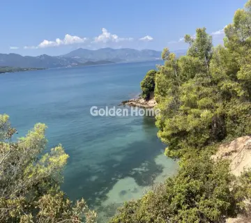 Επαγγελ. Οικόπεδο 4050τ.μ. προς πώληση φωτογραφία 4983979