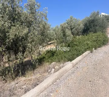 Επαγγελ. Οικόπεδο 4050τ.μ. προς πώληση φωτογραφία 4983980