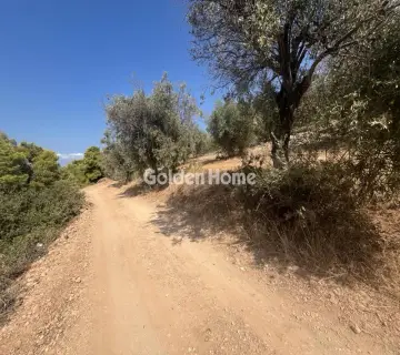 Επαγγελ. Οικόπεδο 4050τ.μ. προς πώληση φωτογραφία 4983992