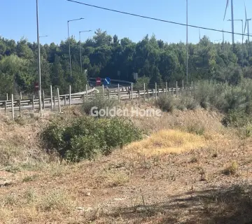 Επαγγελ. Οικόπεδο 8000τ.μ. προς ενοικίαση φωτογραφία 4987107