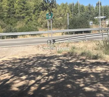 Επαγγελ. Οικόπεδο 8000τ.μ. προς ενοικίαση φωτογραφία 4987108