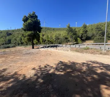Επαγγελ. Οικόπεδο 8000τ.μ. προς ενοικίαση φωτογραφία 4987109