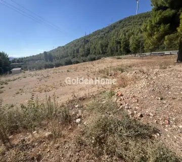 Επαγγελ. Οικόπεδο 8000τ.μ. προς ενοικίαση φωτογραφία 4987112
