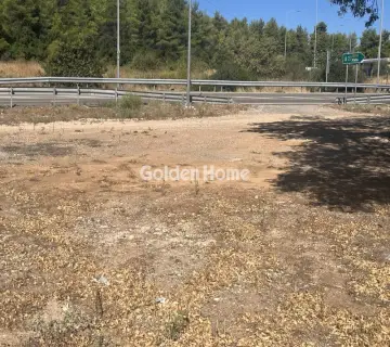 Επαγγελ. Οικόπεδο 8000τ.μ. προς ενοικίαση φωτογραφία 4987114