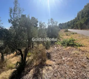 Επαγγελ. Οικόπεδο 8000τ.μ. προς ενοικίαση φωτογραφία 4987117