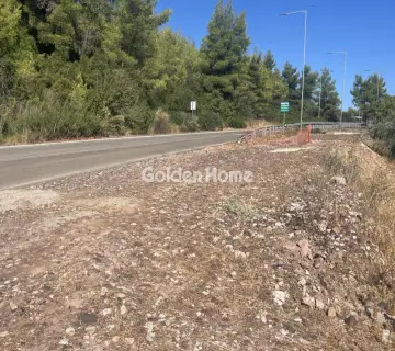 Επαγγελ. Οικόπεδο 8000τ.μ. προς ενοικίαση φωτογραφία 4987121