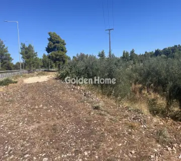 Επαγγελ. Οικόπεδο 8000τ.μ. προς ενοικίαση φωτογραφία 4987123